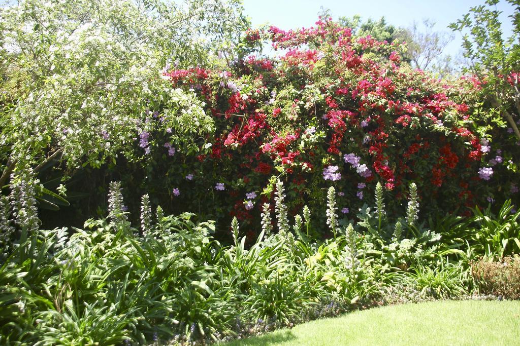 Melville Manor Guest House Joanesburgo Exterior foto